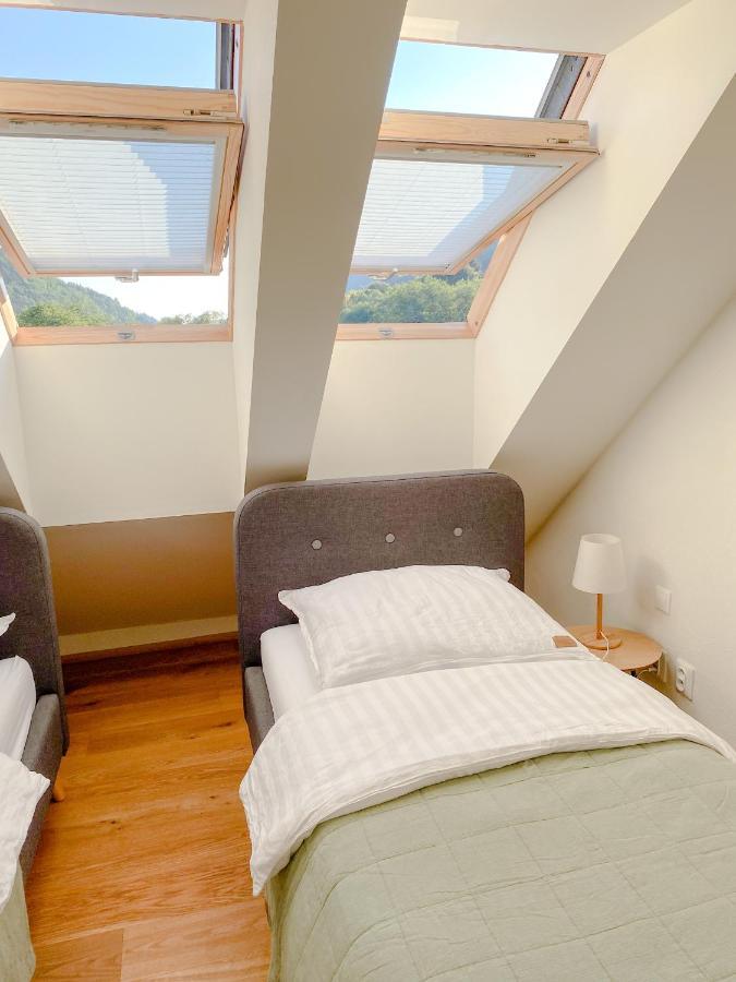 Superb Myto Apartment Mýto pod Ďumbierom Kültér fotó